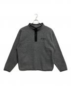 SIERRA SPORTシエラスポーツ）の古着「スナッププルオーバー」｜グレー