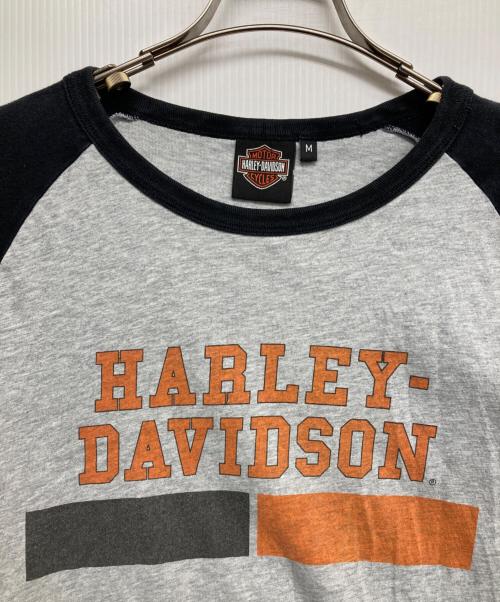 HARLEY-DAVIDSON（ハーレーダビッドソン）HARLEY-DAVIDSON (ハーレーダビッドソン) プリントカットソー グレー サイズ:Mの古着・服飾アイテム