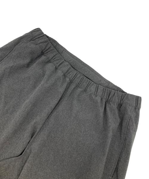 THE NORTH FACE（ザ ノース フェイス）THE NORTH FACE (ザ ノース フェイス) アンクルパンツ グレー サイズ:Mの古着・服飾アイテム