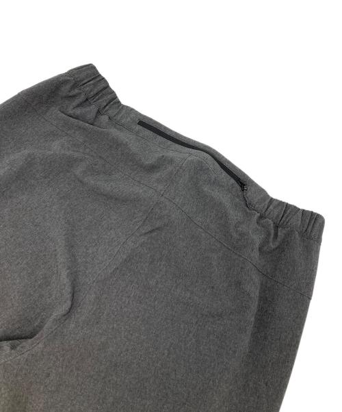 THE NORTH FACE（ザ ノース フェイス）THE NORTH FACE (ザ ノース フェイス) アンクルパンツ グレー サイズ:Mの古着・服飾アイテム