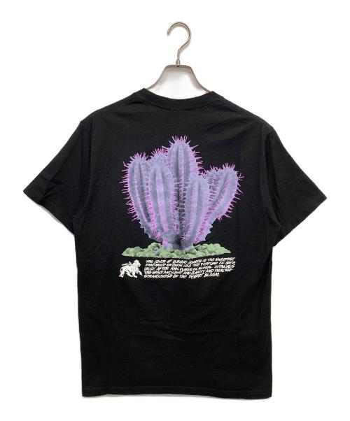 stussy（ステューシー）stussy (ステューシー) desert bloom tee ブラック サイズ:Mの古着・服飾アイテム