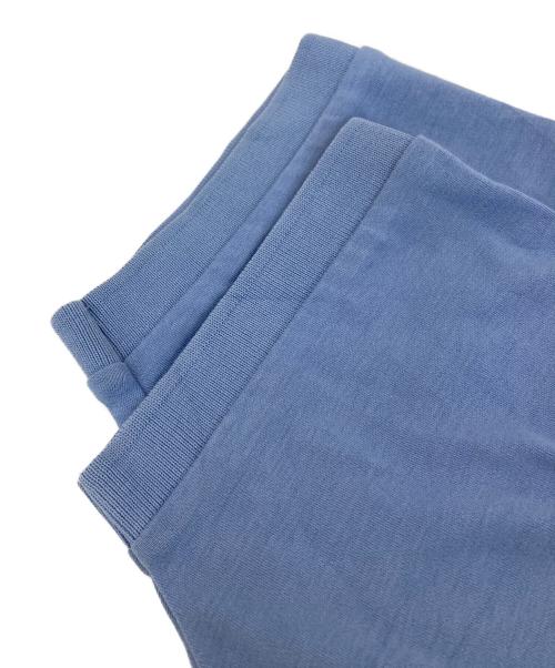 POLO RALPH LAUREN（ポロ・ラルフローレン）POLO RALPH LAUREN (ポロ・ラルフローレン) ポロシャツ ブルー サイズ:Lの古着・服飾アイテム