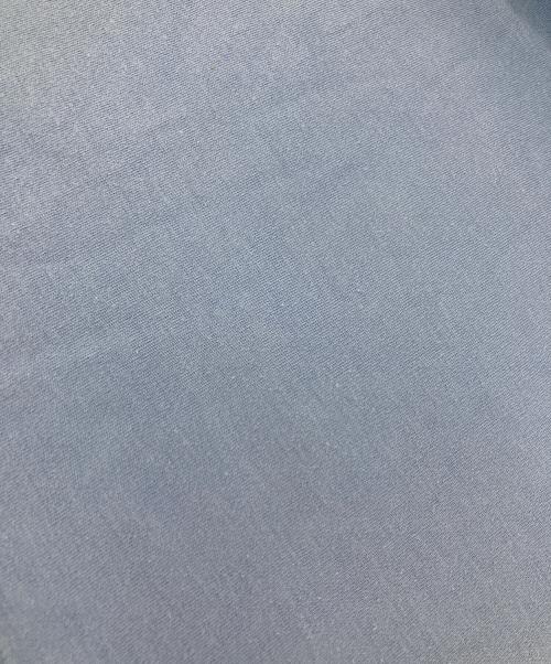 POLO RALPH LAUREN（ポロ・ラルフローレン）POLO RALPH LAUREN (ポロ・ラルフローレン) ポロシャツ ブルー サイズ:Lの古着・服飾アイテム