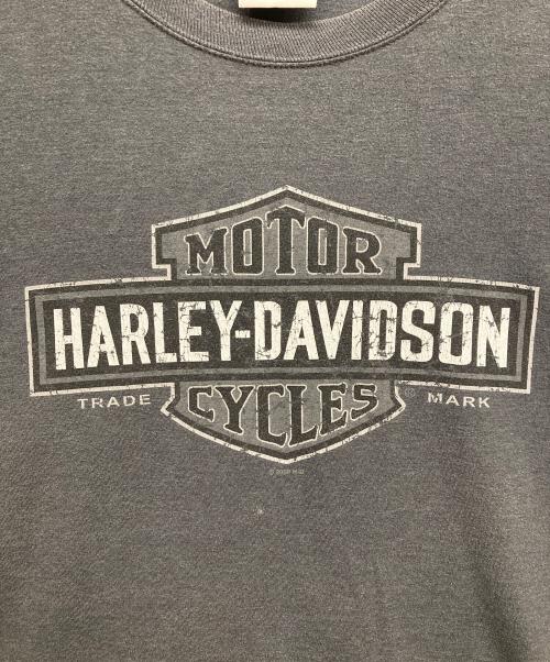 HARLEY-DAVIDSON（ハーレーダビッドソン）HARLEY-DAVIDSON (ハーレーダビッドソン) プリントTシャツ グレー サイズ:XLの古着・服飾アイテム