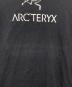 ARC'TERYXの古着・服飾アイテム：7000円