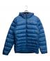 Patagonia（パタゴニア）の古着「ハイロフト ダウン フーディ」｜ブルー