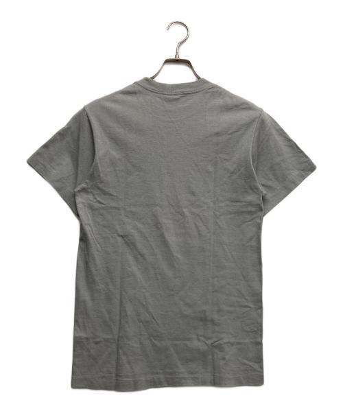 stussy（ステューシー）stussy (ステューシー) ブルースリープリントＴシャツ グレー サイズ:Sの古着・服飾アイテム
