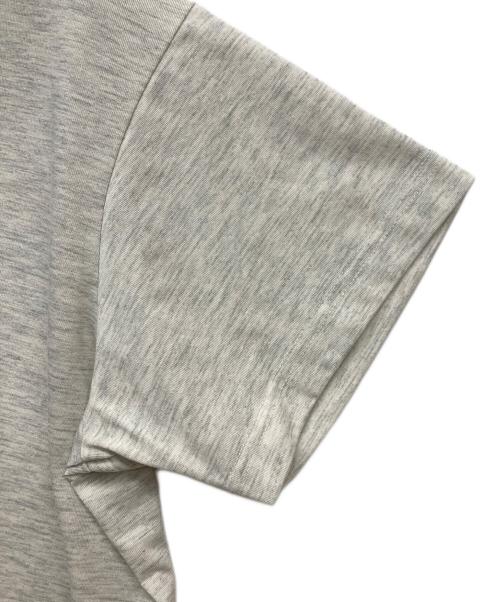 THE NORTH FACE（ザ ノース フェイス）THE NORTH FACE (ザ ノース フェイス) 半袖カットソー グレー サイズ:Mの古着・服飾アイテム