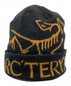 ARC'TERYXアークテリクス）の古着「Bird Word Toque  ニット帽」｜ブラック