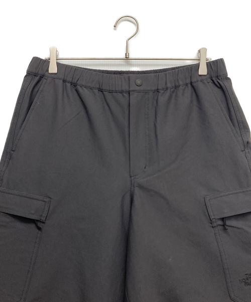 THE NORTH FACE（ザ ノース フェイス）THE NORTH FACE (ザ ノース フェイス) ハイカーズカーゴパンツ グレー サイズ:XLの古着・服飾アイテム