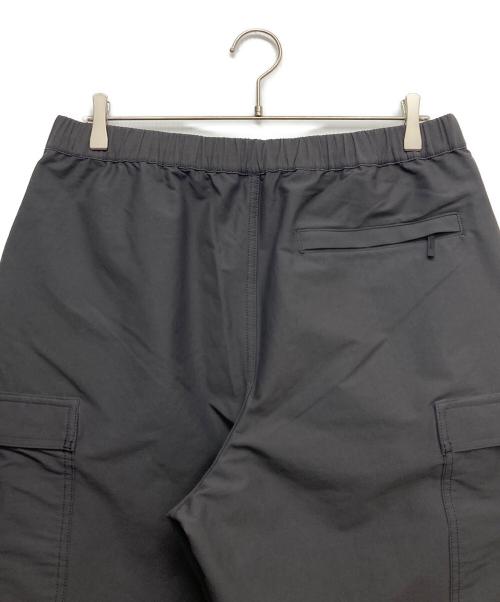 THE NORTH FACE（ザ ノース フェイス）THE NORTH FACE (ザ ノース フェイス) ハイカーズカーゴパンツ グレー サイズ:XLの古着・服飾アイテム