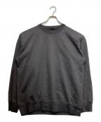 AURALEEオーラリー）の古着「ORGANIC COTTON COMPACT GRADATION DYED SWEAT」｜グレー