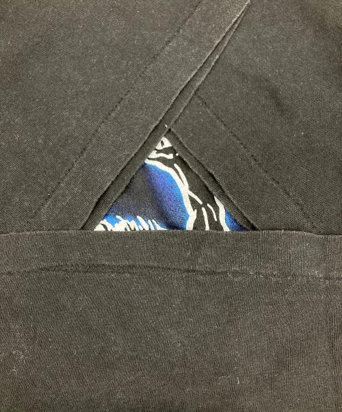 Hanes（ヘインズ）Hanes (ヘインズ) シングルステッチバンドプリントTシャツ ブラック サイズ:Lの古着・服飾アイテム