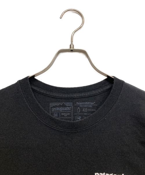 Patagonia（パタゴニア）Patagonia (パタゴニア) プリントロングスリーブカットソー ブラック サイズ:Mの古着・服飾アイテム