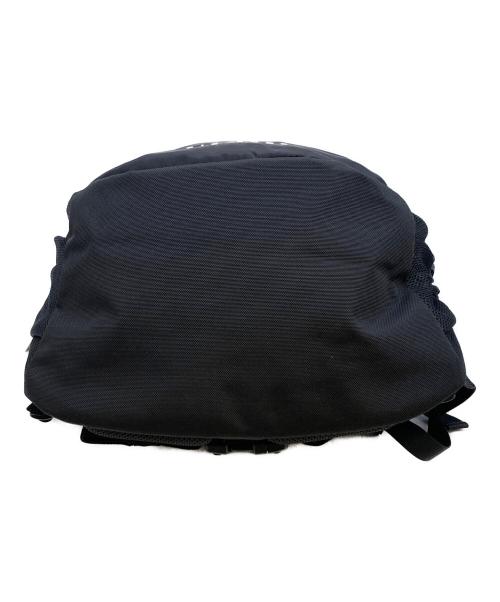 THE NORTH FACE（ザ ノース フェイス）THE NORTH FACE (ザ ノース フェイス) ビッグショット ベージュ 未使用品の古着・服飾アイテム