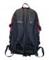 THE NORTH FACE (ザ ノース フェイス) BIG SHOT レッド：10000円