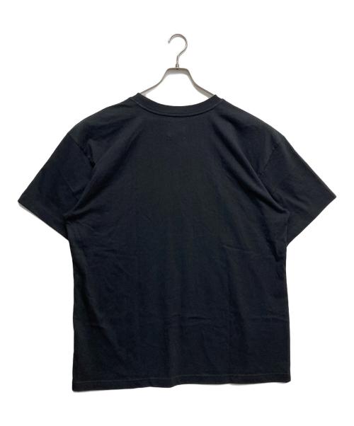THE NORTH FACE（ザ ノース フェイス）THE NORTH FACE (ザ ノース フェイス) CDG (シーディージー) Icon Short Sleeve T-Shirt ブラック サイズ:XLの古着・服飾アイテム