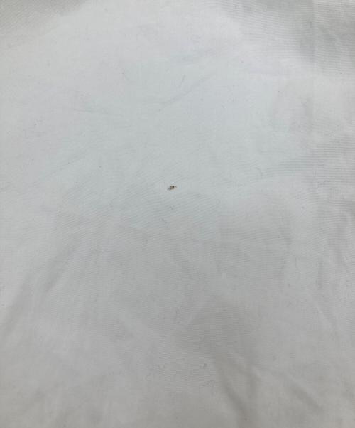 POLO RALPH LAUREN（ポロ・ラルフローレン）POLO RALPH LAUREN (ポロ・ラルフローレン) ボタンダウンシャツ ホワイト サイズ:Lの古着・服飾アイテム