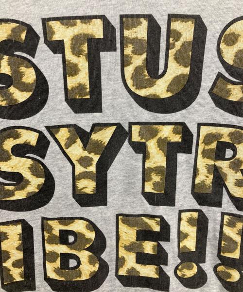 stussy（ステューシー）stussy (ステューシー) ロングスリーブTシャツ グレー サイズ:Lの古着・服飾アイテム