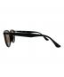 RAY-BAN (レイバン) サングラス ブラック サイズ:SIZE 53-20：4000円