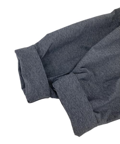 THE NORTH FACE（ザ ノース フェイス）THE NORTH FACE (ザ ノース フェイス) エイペックス フレックス イージーナイロンパンツ グレー サイズ:Mの古着・服飾アイテム