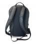 ARC'TERYX (アークテリクス) mantis 26L ブラック：12000円