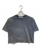 FRAMeWORKフレームワーク）の古着「パウダーブリーチ クロップドTEE」｜グレー