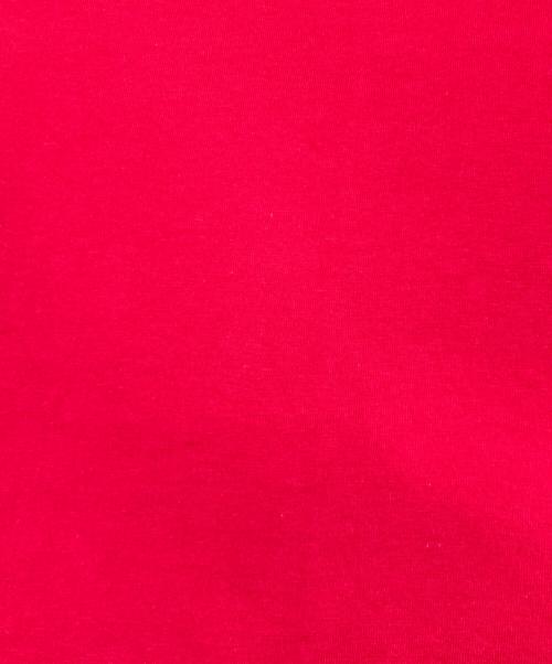 SUPREME（シュプリーム）SUPREME (シュプリーム) MARITHE+FRANCOIS GIRBAUD (マリテフランソワジルボー) コラボT レッド サイズ:XL 未使用品の古着・服飾アイテム