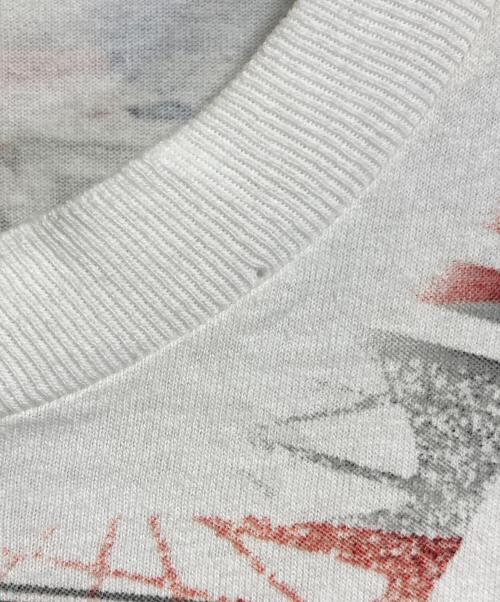 ALORE（アローレ）ALORE (アローレ) 【古着】レーシングカーTシャツ　半袖カットソー　Tシャツ　Tee  Las Vegas UAW Daimler Chrysler ホワイト サイズ:XLの古着・服飾アイテム