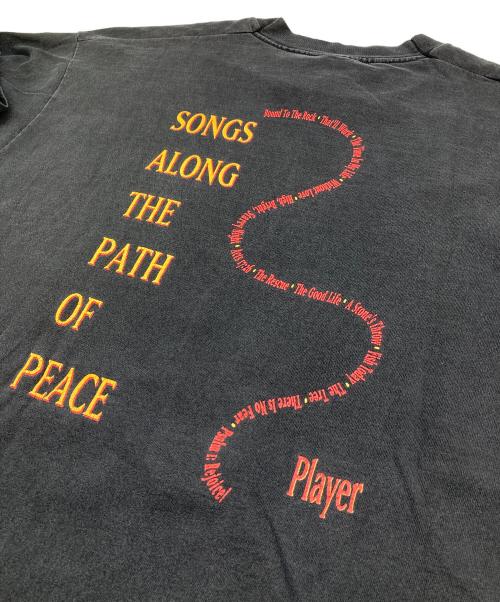 FRUIT OF THE LOOM（フルーツオブザルーム）FRUIT OF THE LOOM (フルーツオブザルーム) 【古着】90’S 両面プリントヴィンテージTシャツ　90年代 there is no fear USA製 シングルステッチ ブラック サイズ:XLの古着・服飾アイテム