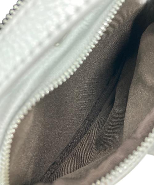 HAYNI.（ヘイニ）HAYNI. (ヘイニ) ベイビーロシェ ミニショルダーバッグ シルバーの古着・服飾アイテム