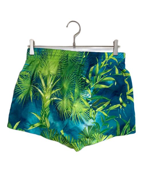 VERSACE（ヴェルサーチェ）VERSACE (ヴェルサーチェ) スイムショーツ グリーン×ブルー サイズ:50の古着・服飾アイテム