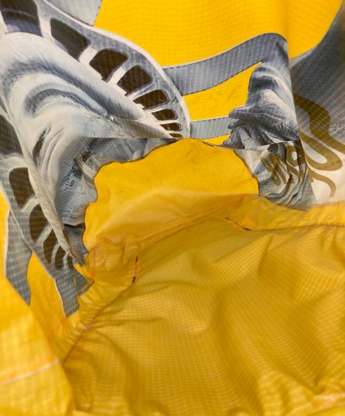 THE NORTH FACE（ザ ノース フェイス）THE NORTH FACE (ザ ノース フェイス) SUPREME (シュプリーム) Statue of Liberty Waterproof Backpack イエローの古着・服飾アイテム