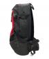 THE NORTH FACE (ザ ノース フェイス) SUPREME (シュプリーム) Expedition Backpack ブラック×レッド：17000円