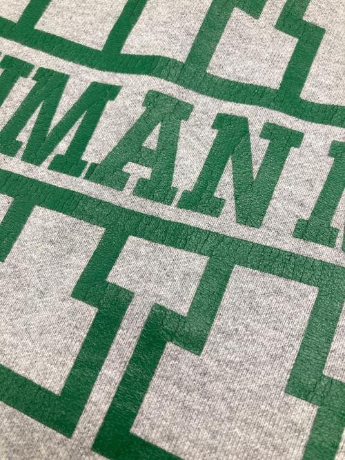 HUMAN MADE（ヒューマンメイド）HUMAN MADE (ヒューマンメイド) SNAP HOODIE グレー サイズ:Lの古着・服飾アイテム