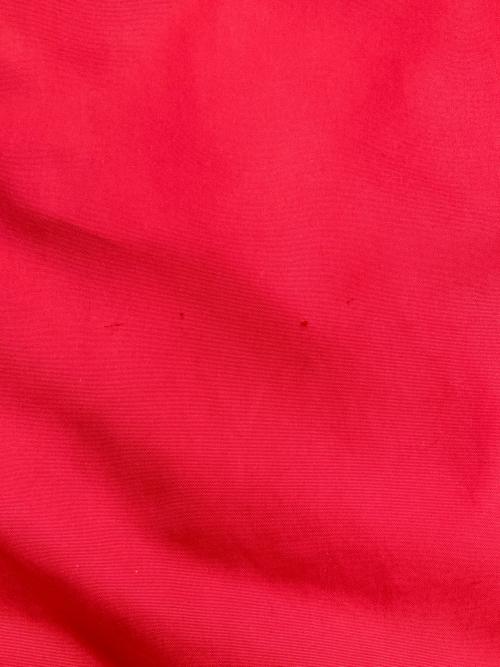 NIKE ACG（ナイキエーシージー）NIKE ACG (ナイキエーシージー) ［古着］アノラックパーカー レッド サイズ:Lの古着・服飾アイテム