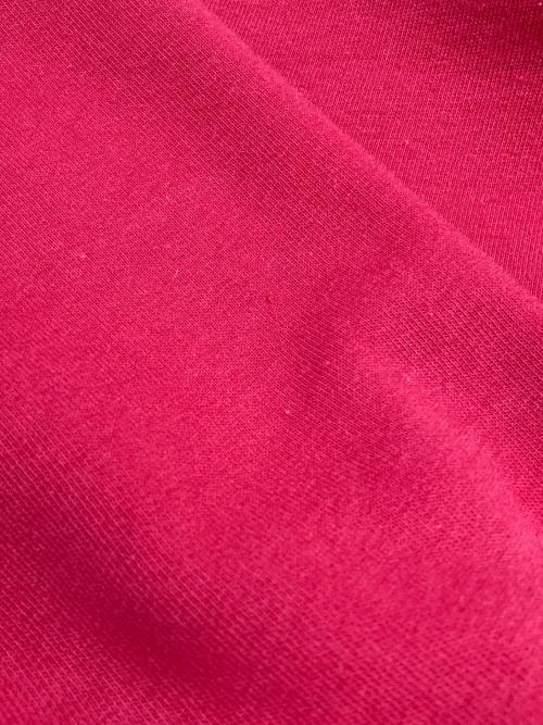 POLO RALPH LAUREN（ポロ・ラルフローレン）POLO RALPH LAUREN (ポロ・ラルフローレン) プルオーバーパーカー レッド サイズ:Lの古着・服飾アイテム