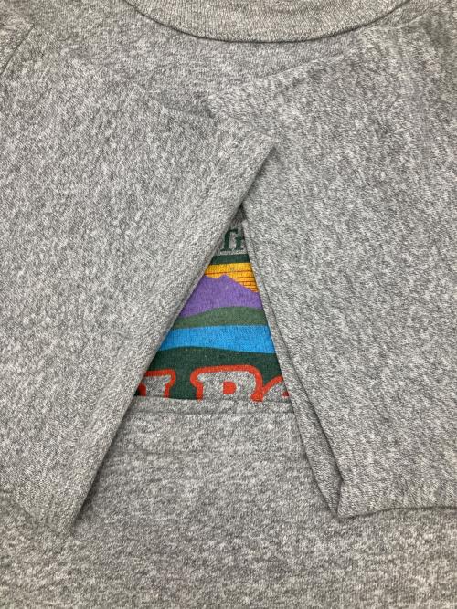 L.L.Bean made by Champion（エルエルビーン メイドバイチャンピオン）L.L.Bean made by Champion (エルエルビーン メイドバイチャンピオン) ［古着］プリントカットソー グレー サイズ:Lの古着・服飾アイテム