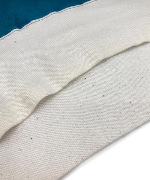 Champion REVERSE WEAVE（チャンピオン リバース ウィーブ）Champion REVERSE WEAVE (チャンピオン リバース ウィーブ) クルーネックスウェット ブルー×ホワイト サイズ:Ｌの古着・服飾アイテム