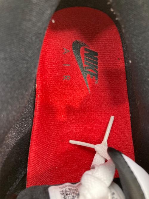 NIKE（ナイキ）NIKE (ナイキ) WMNS AIR JORDAN 2 RETRO LOW ホワイト サイズ:US11.5の古着・服飾アイテム