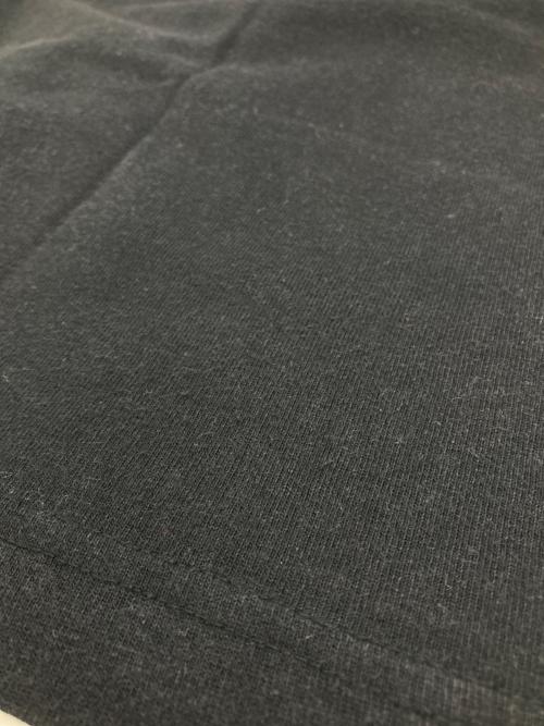 Champion（チャンピオン）Champion (チャンピオン) stussy (ステューシー) コラボプリントTシャツ ブラック サイズ:Mの古着・服飾アイテム