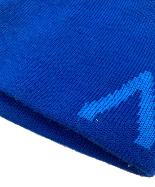 ARC'TERYX（アークテリクス）ARC'TERYX (アークテリクス) Word Head Toque ブルーの古着・服飾アイテム