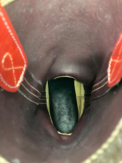 ZERROW'S（ゼローズ）ZERROW'S (ゼローズ) WESTERN PECOS レッド サイズ:9の古着・服飾アイテム