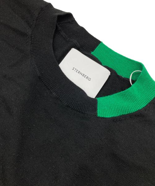 STERNBERG（スタンバーグ）STERNBERG (スタンバーグ) ウールニット ブラック サイズ:M 未使用品の古着・服飾アイテム