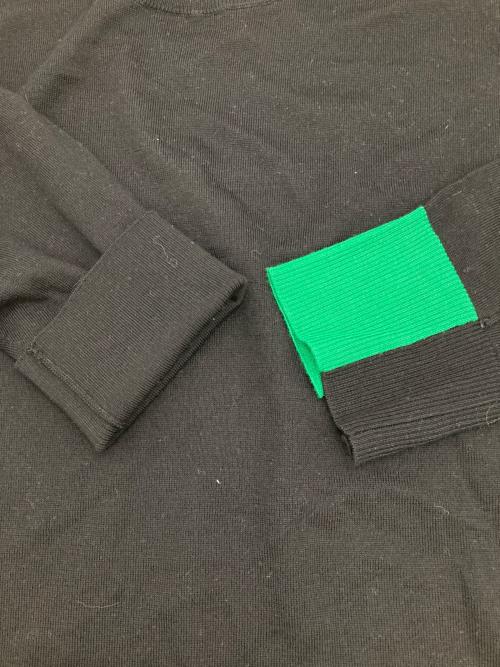 STERNBERG（スタンバーグ）STERNBERG (スタンバーグ) ウールニット ブラック サイズ:M 未使用品の古着・服飾アイテム