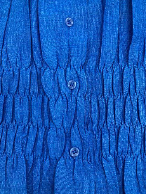 ISSEY MIYAKE（イッセイミヤケ）ISSEY MIYAKE (イッセイミヤケ) プリーツシャツブラウス ブルー サイズ:2の古着・服飾アイテム
