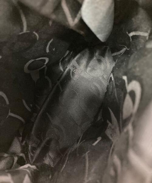 Salvatore Ferragamo（サルヴァトーレ フェラガモ）Salvatore Ferragamo (サルヴァトーレ フェラガモ) CAGE BAG ブラウン×ベージュの古着・服飾アイテム