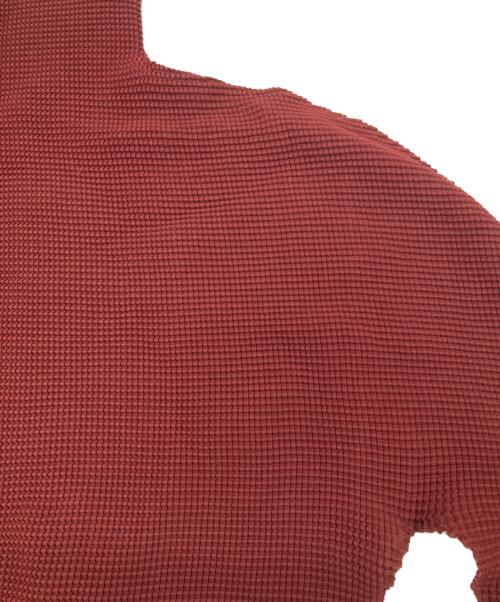 me ISSEY MIYAKE（ミーイッセイ ミヤケ）me ISSEY MIYAKE (ミーイッセイ ミヤケ) プリーツカットソー レッド サイズ:Freeの古着・服飾アイテム