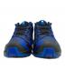 SALOMON (サロモン) XA PRO 3D V9 GORE-TEX  ブルー サイズ:US10.5：17000円