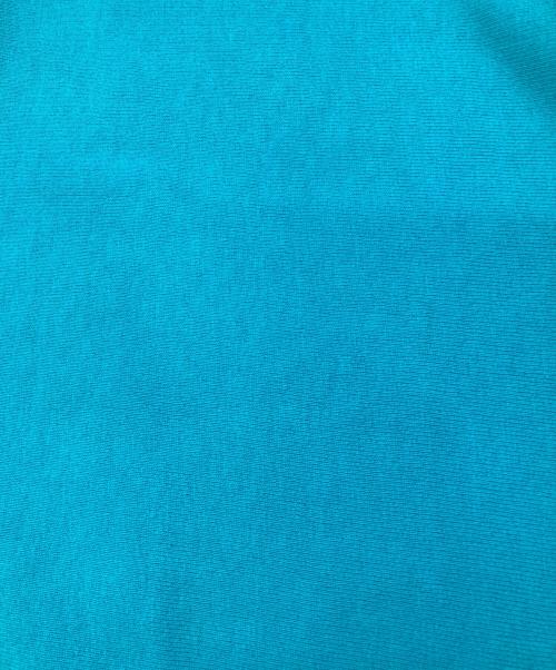Champion REVERSE WEAVE（チャンピオン リバース ウィーブ）Champion REVERSE WEAVE (チャンピオン リバース ウィーブ) ［古着］クルーネックスウェット スカイブルー サイズ:XLの古着・服飾アイテム